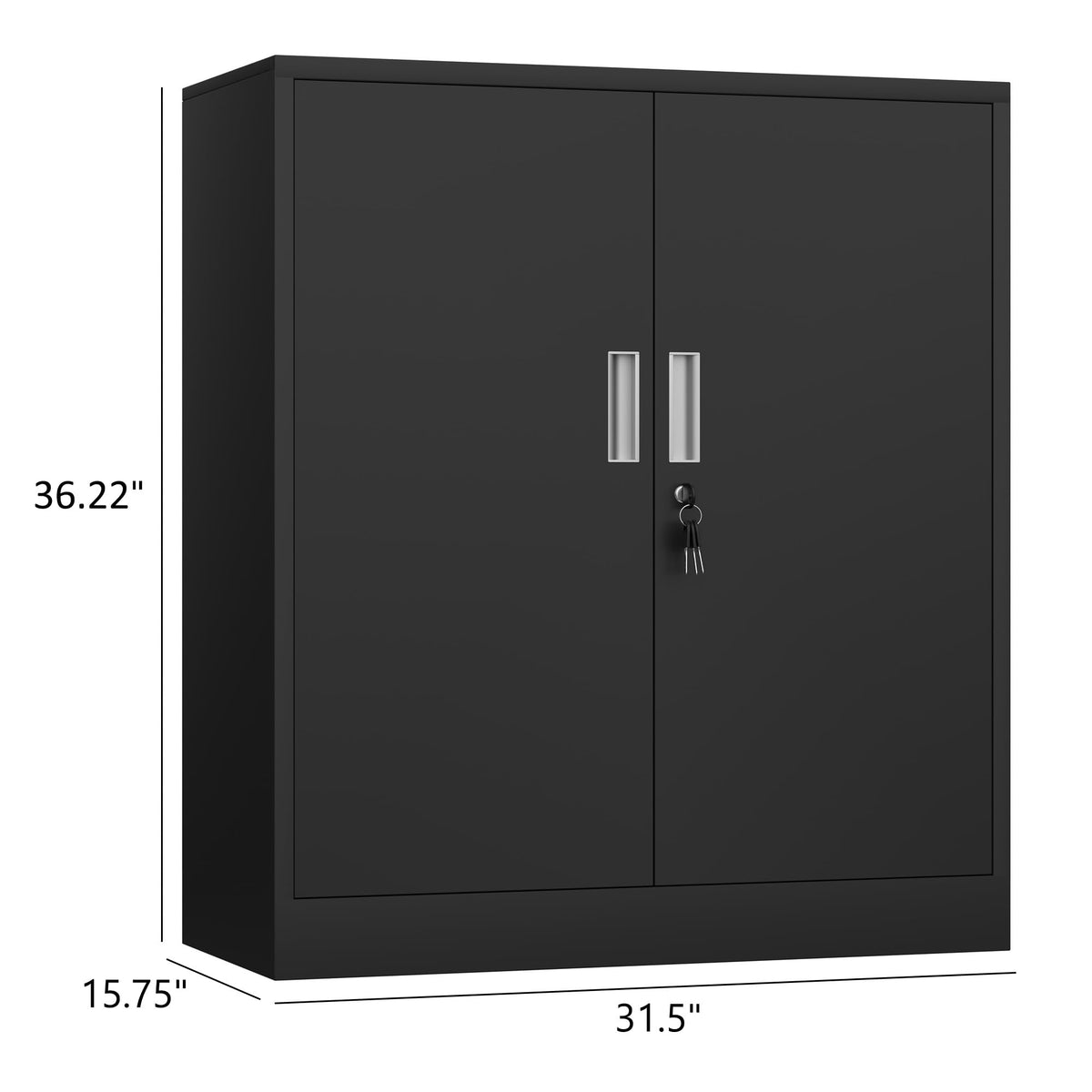 Metal Storage Cabinet with Locking Doors and 2 Adjustable Shelves, Black P656063