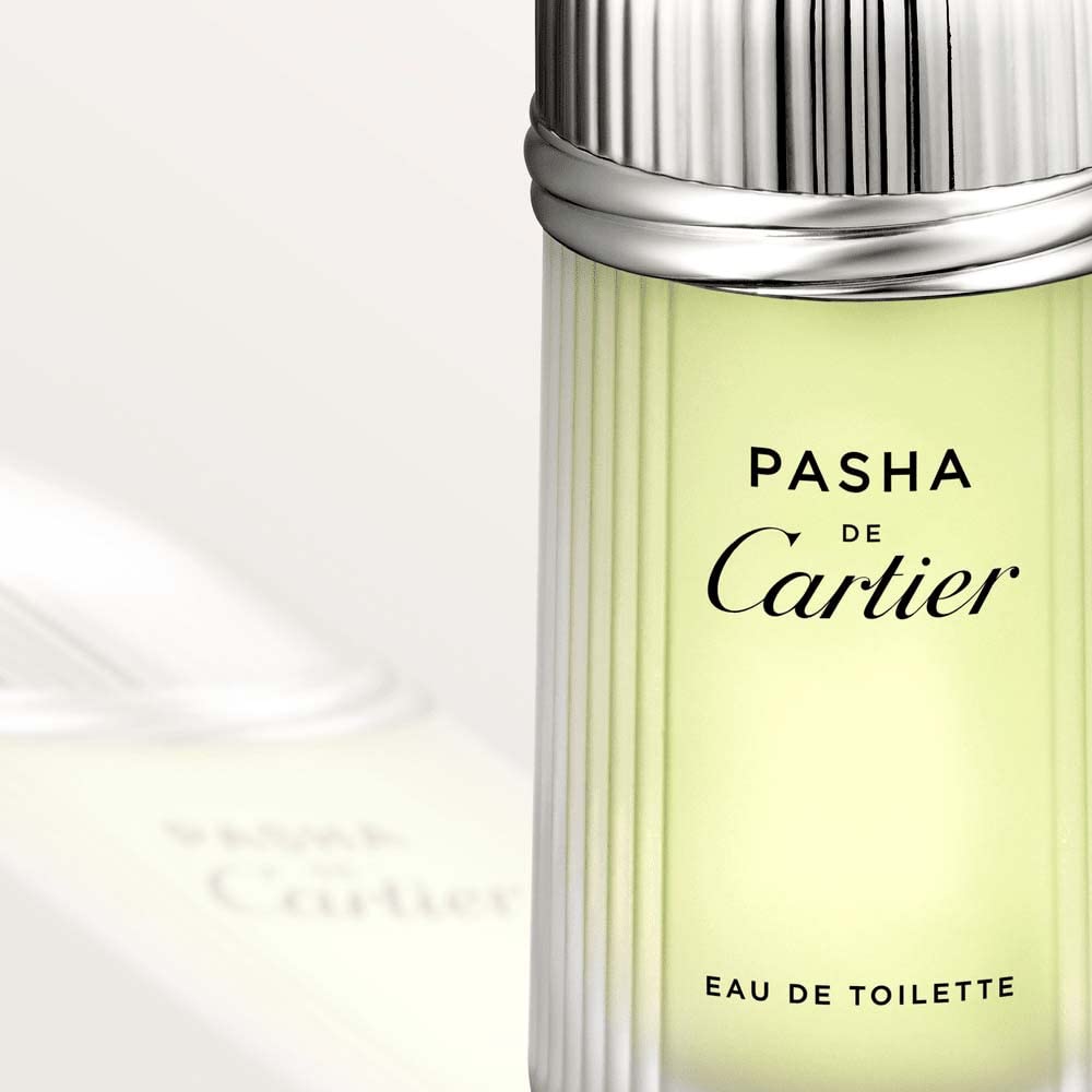 3.3 oz Eau de Toilette Spray V534095