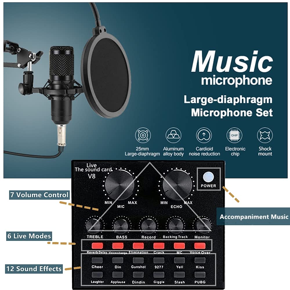 Condenser Microphone Bundle with Voice Changer Z72417