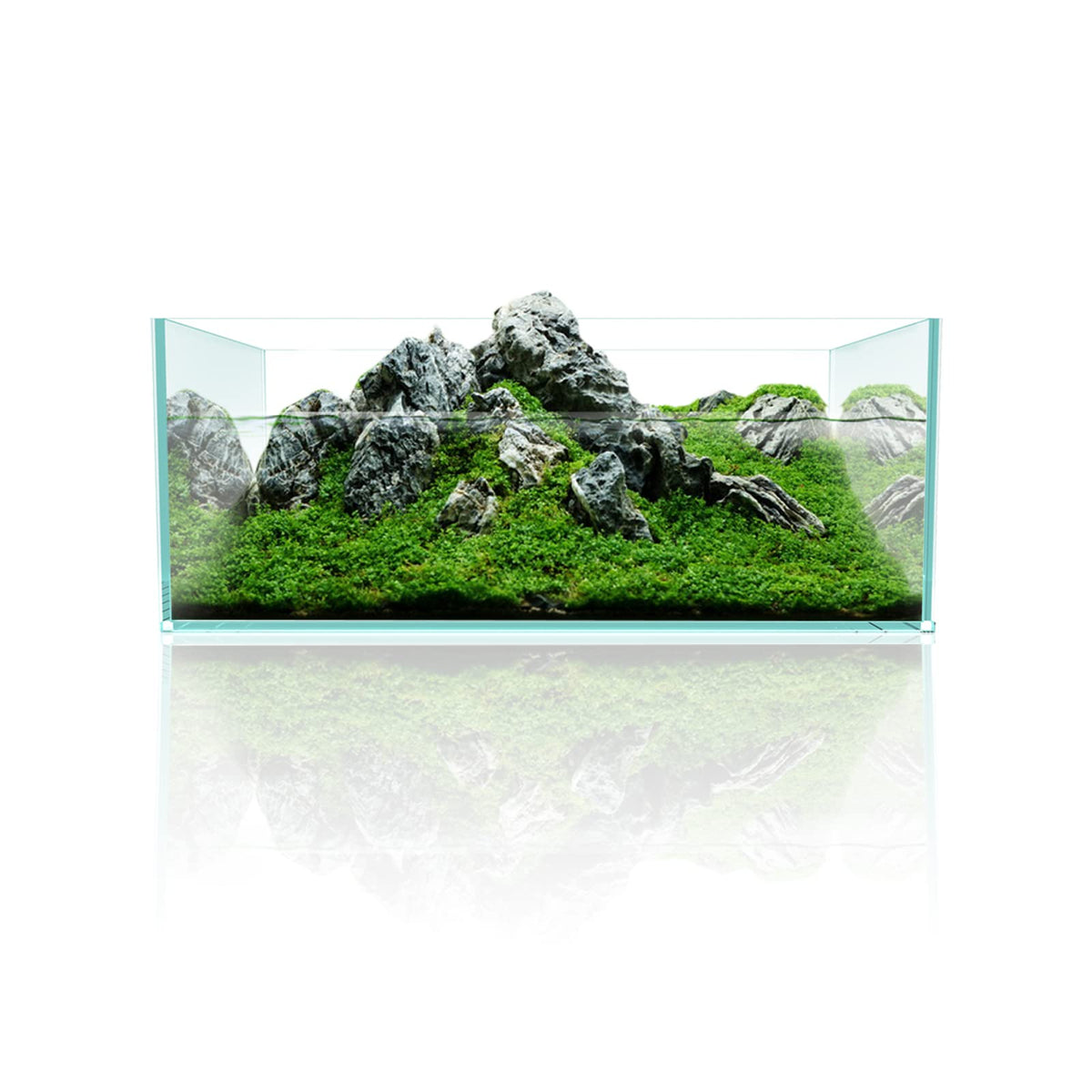 6.4Gal Shallow Rimless Aquarium Ultra-White Glass E812
