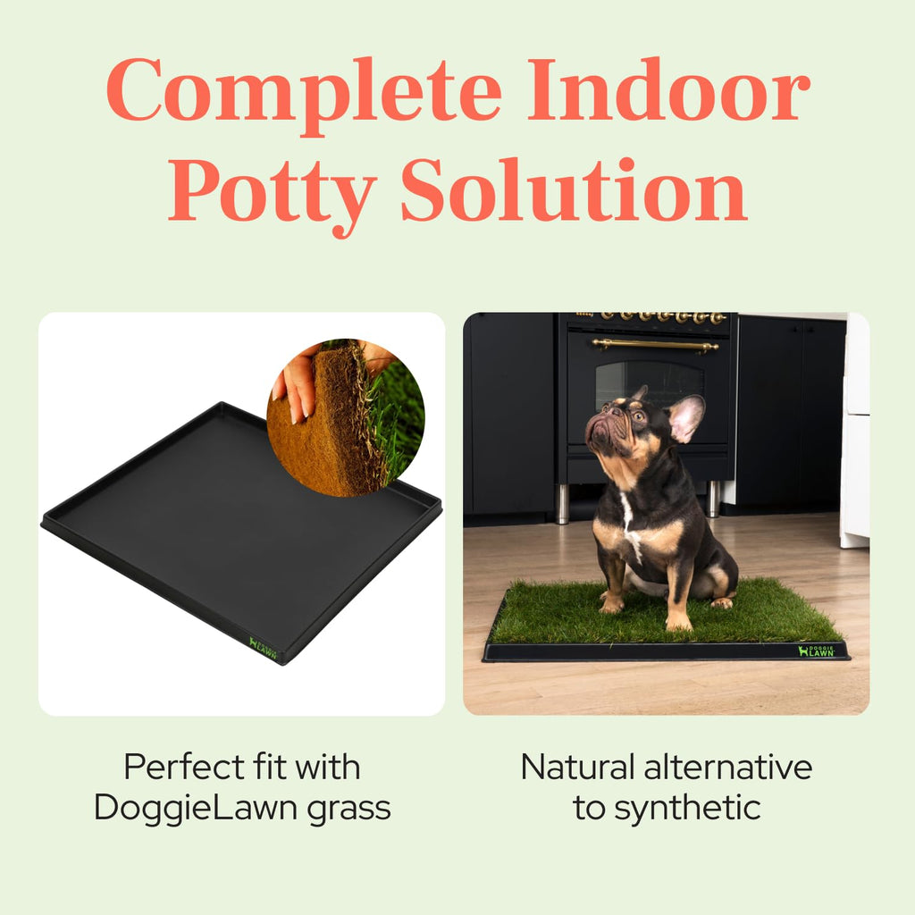 Leak-Proof Dog Potty Tray Medium W3675
