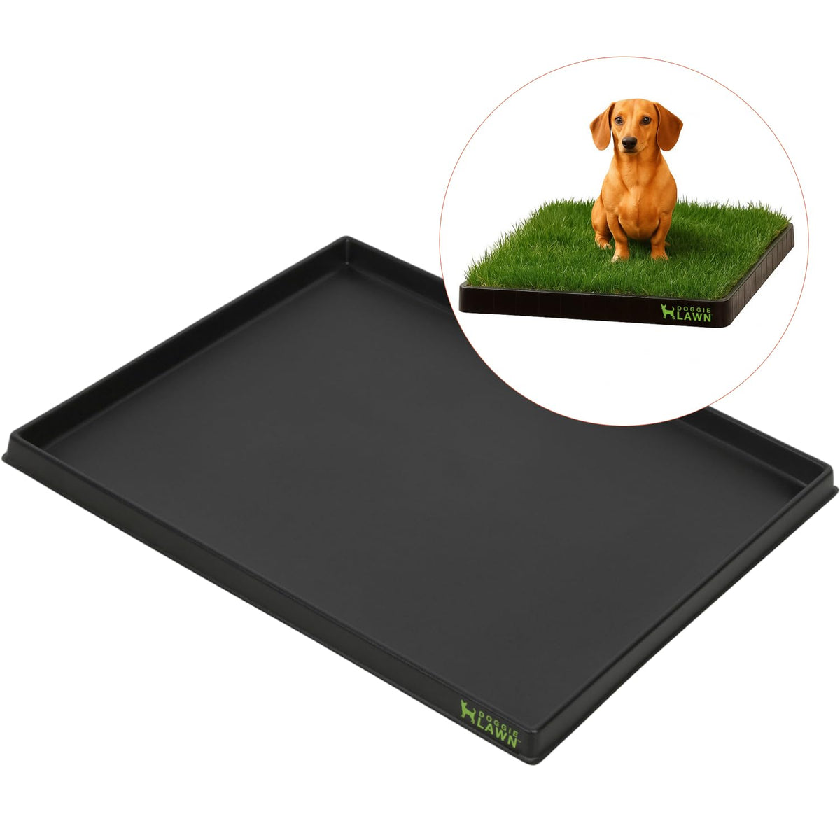 Leak-Proof Dog Potty Tray Medium W3675