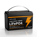 12V 100Ah LiFePO4 Battery with 100A BMS Q620