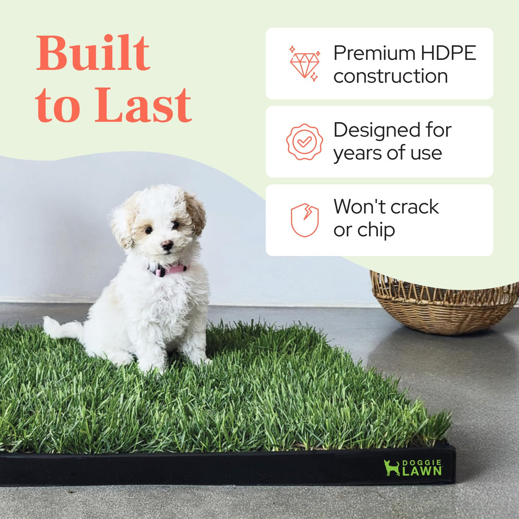 Leak-Proof Dog Potty Tray Medium W3675
