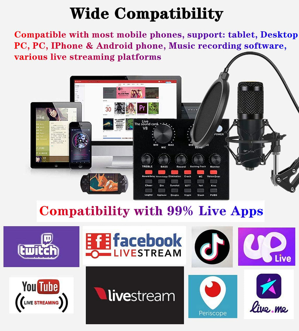 Condenser Microphone Bundle with Voice Changer Z72417
