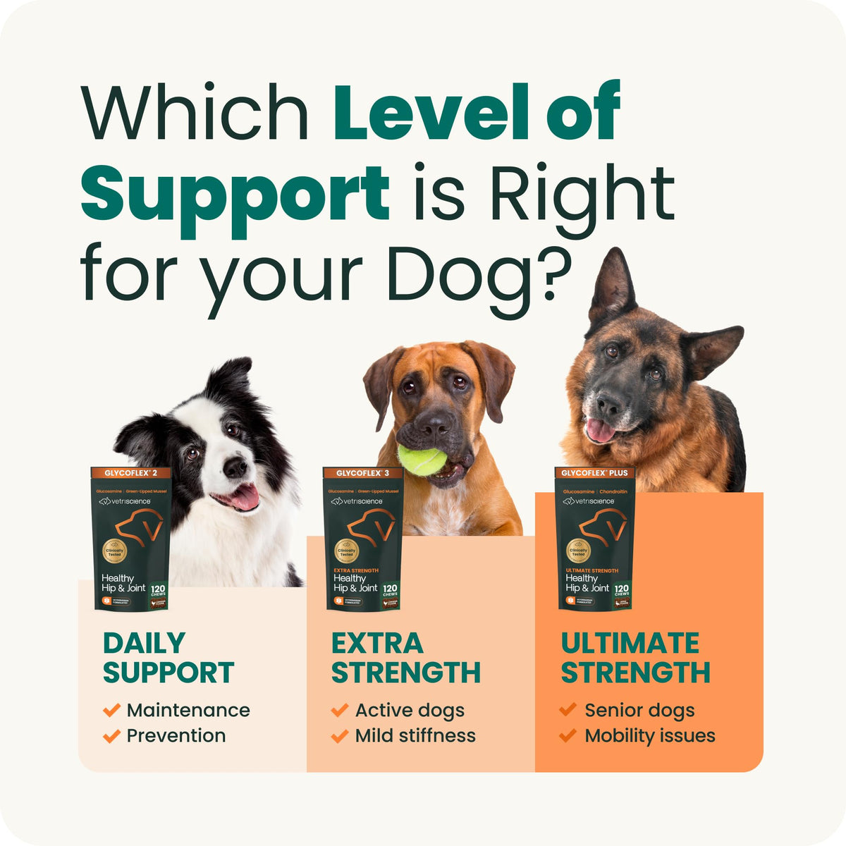 Healthy Hip & Joint for Dogs, Duck, 120ct V456706