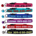 Nylon Cat Collar with Bell C27580