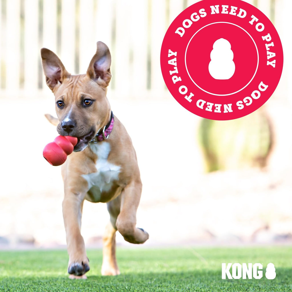 Natural Rubber Teething Chew Toy C625685