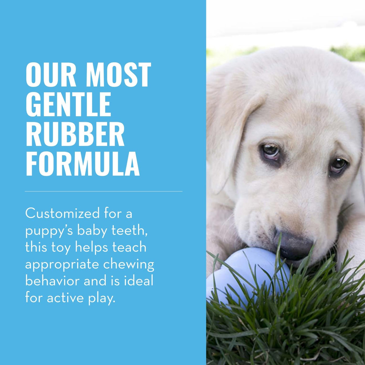 Natural Rubber Teething Chew Toy C625685