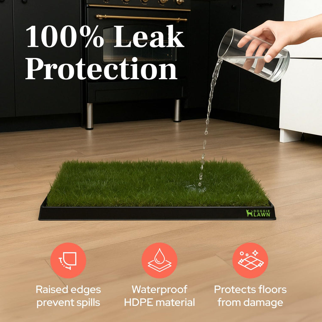 Leak-Proof Dog Potty Tray Medium W3675