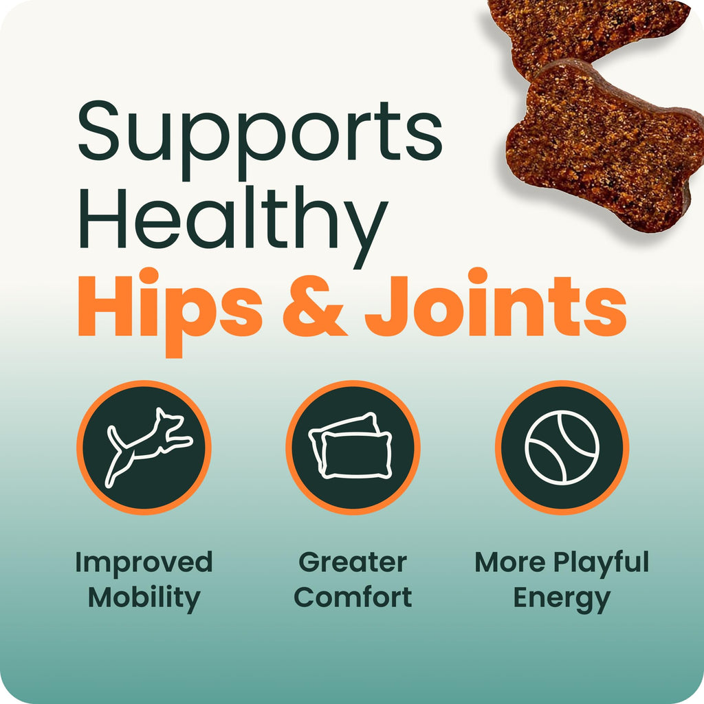 Healthy Hip & Joint for Dogs, Duck, 120ct V456706