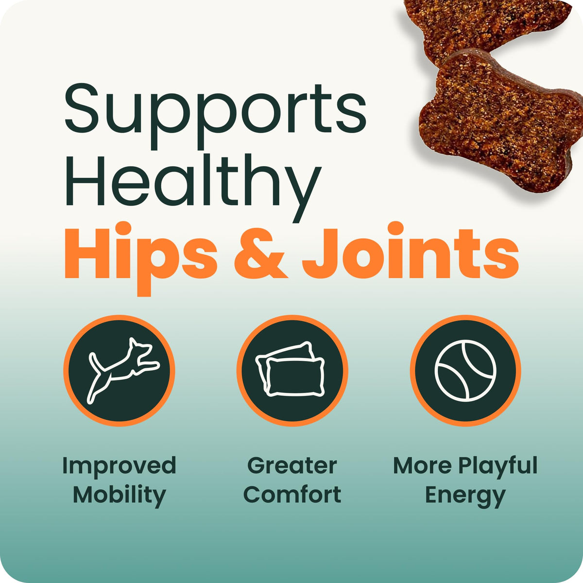 Healthy Hip & Joint for Dogs, Duck, 120ct V456706