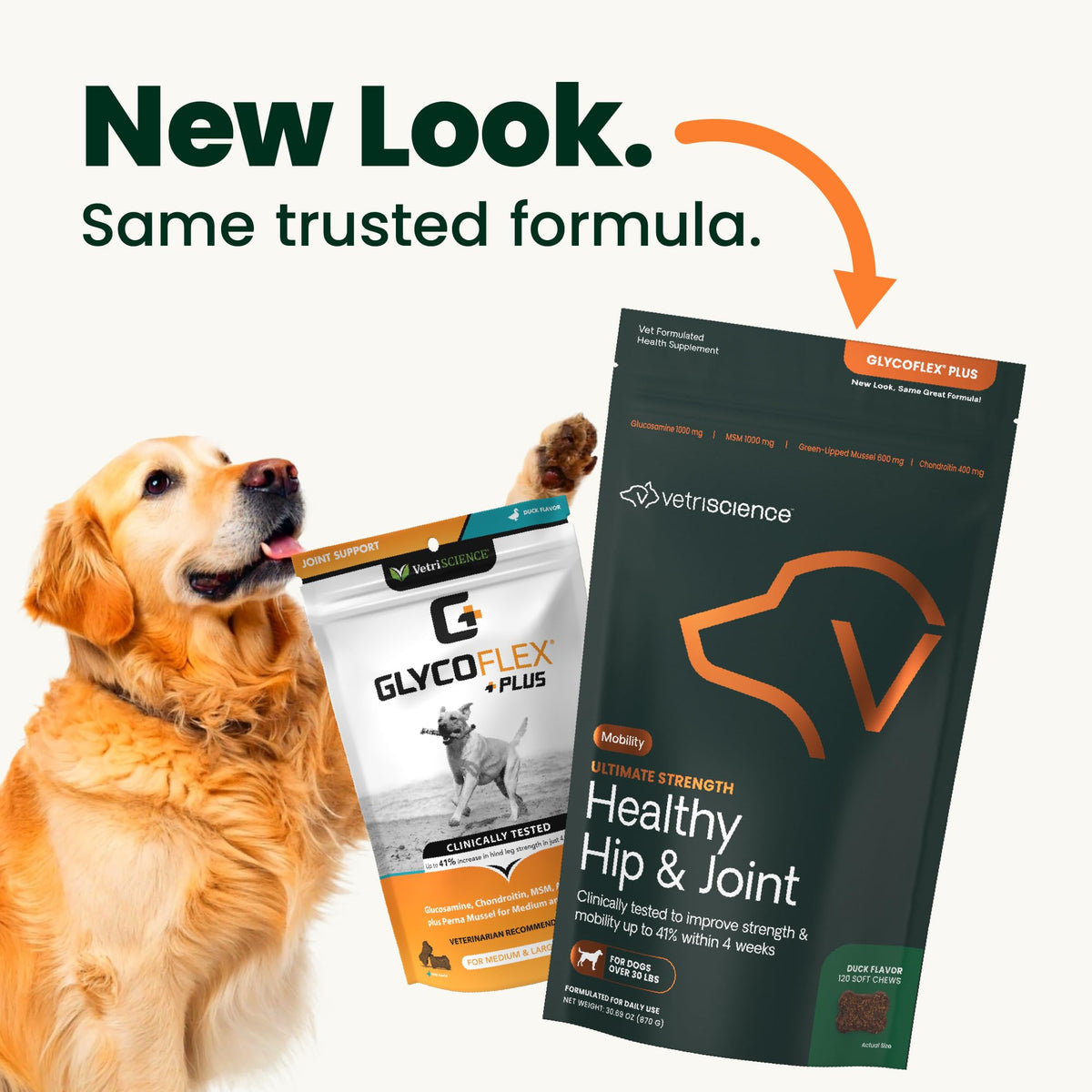 Healthy Hip & Joint for Dogs, Duck, 120ct V456706