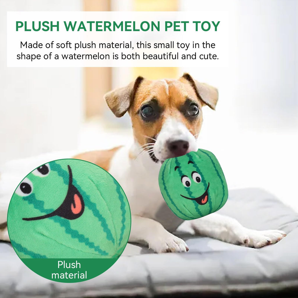 4Pcs Squeaky Plush Dog Toys R418