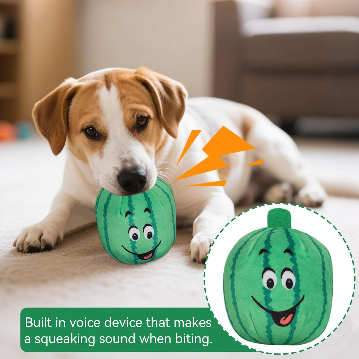 4Pcs Squeaky Plush Dog Toys R418