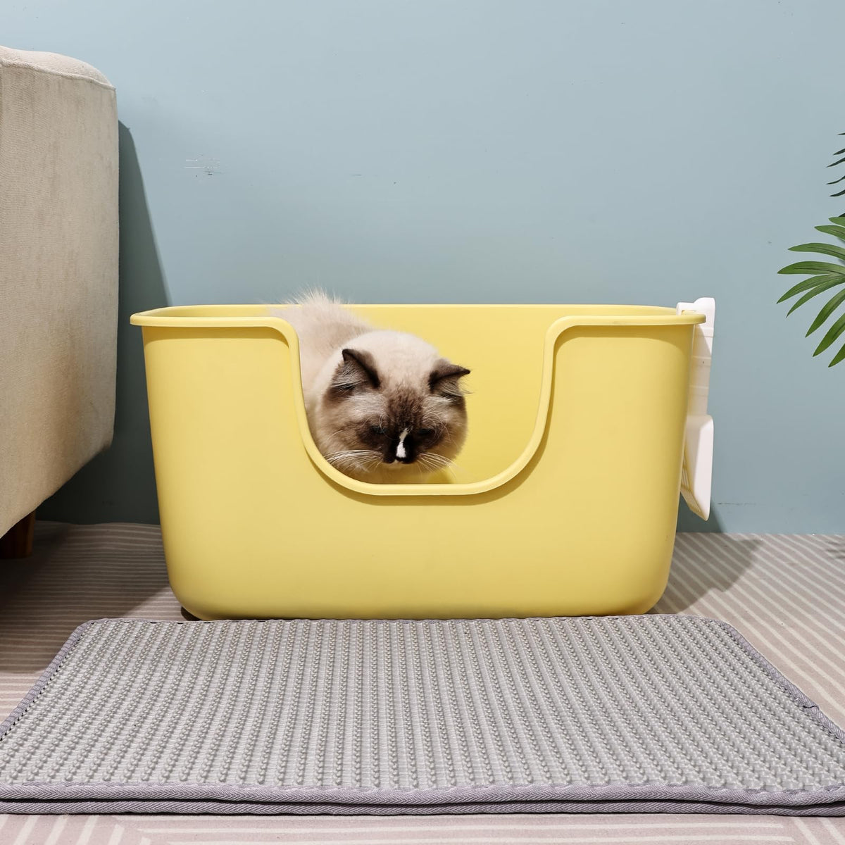 Extra Large Low Entry Cat Litter Box with High Sides O2837