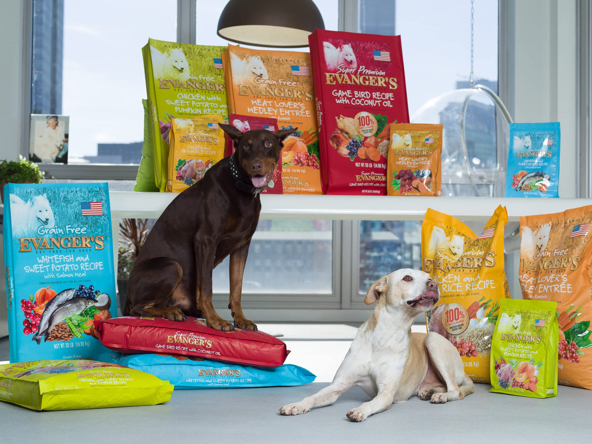 Grain-Free Chicken Sweet Potato Pumpkin Dry Dog Food 16.5 lbs U575528