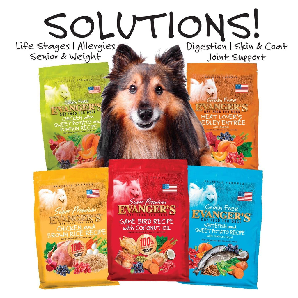 Grain-Free Chicken Sweet Potato Pumpkin Dry Dog Food 16.5 lbs U575528