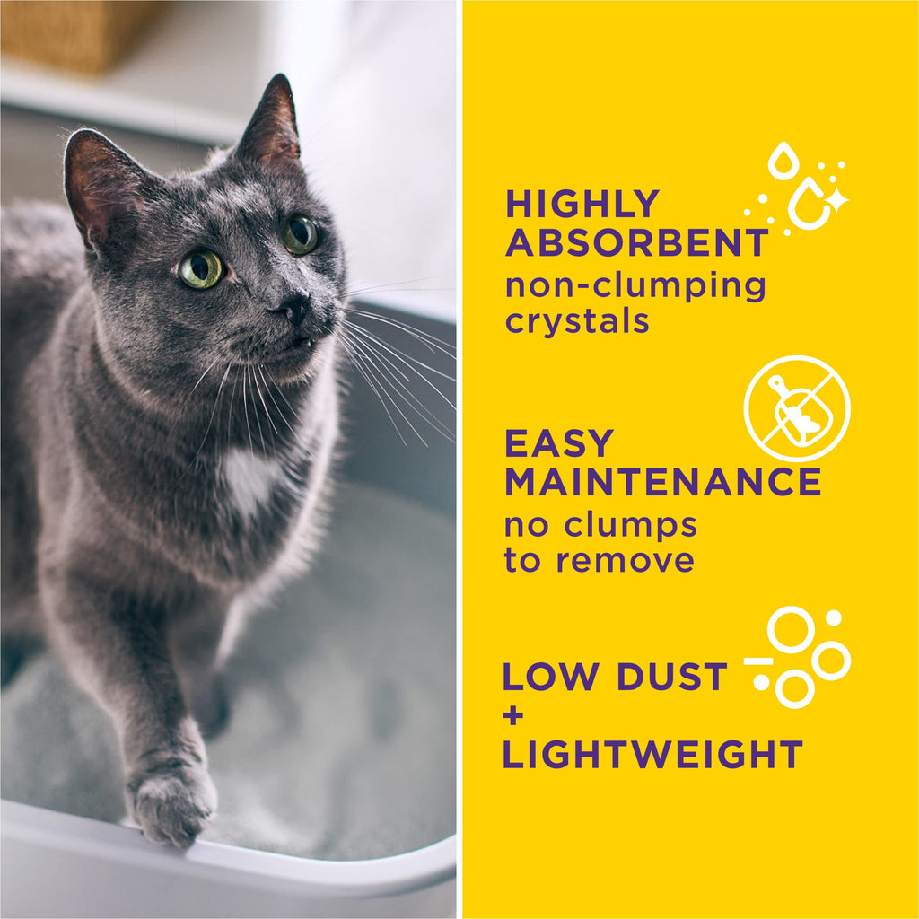 Health Monitoring Litter, 8 lb Z226479