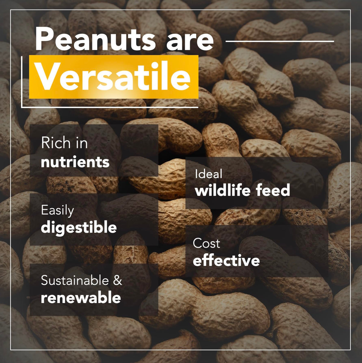 Raw Peanuts 50 LBS C888