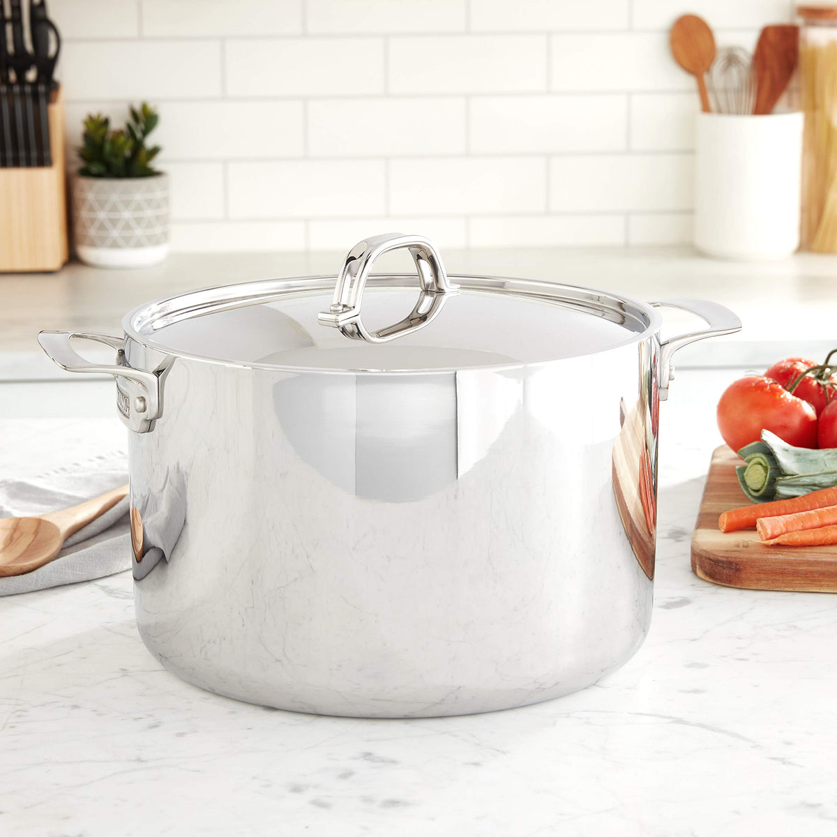 3-Ply Stainless Steel 12 Quart Stock Pot with Lid N404