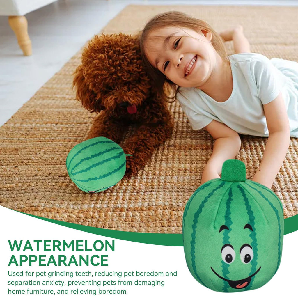 4Pcs Squeaky Plush Dog Toys R418