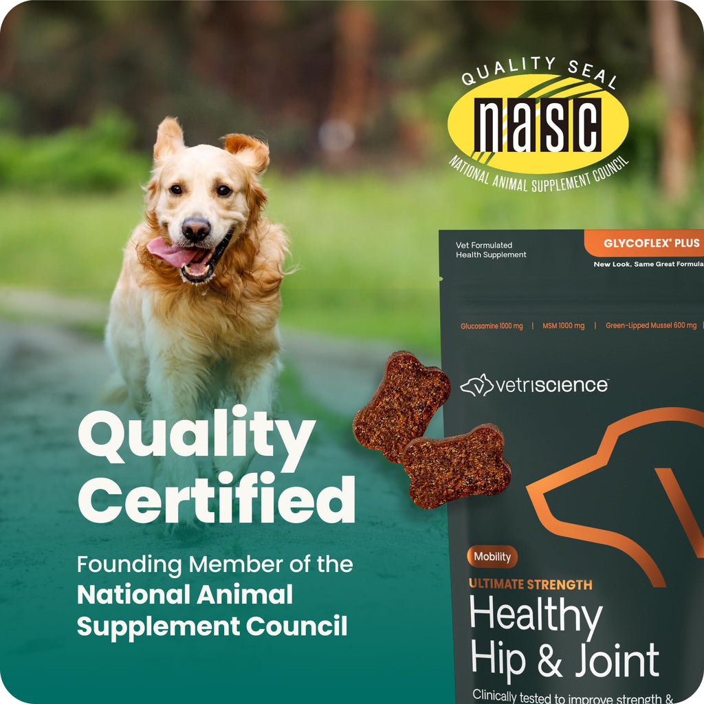 Healthy Hip & Joint for Dogs, Duck, 120ct V456706