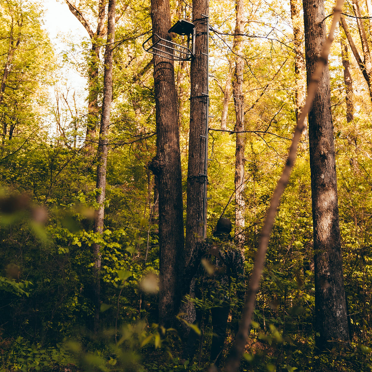 20’ Tree Climbing Stick Z164772