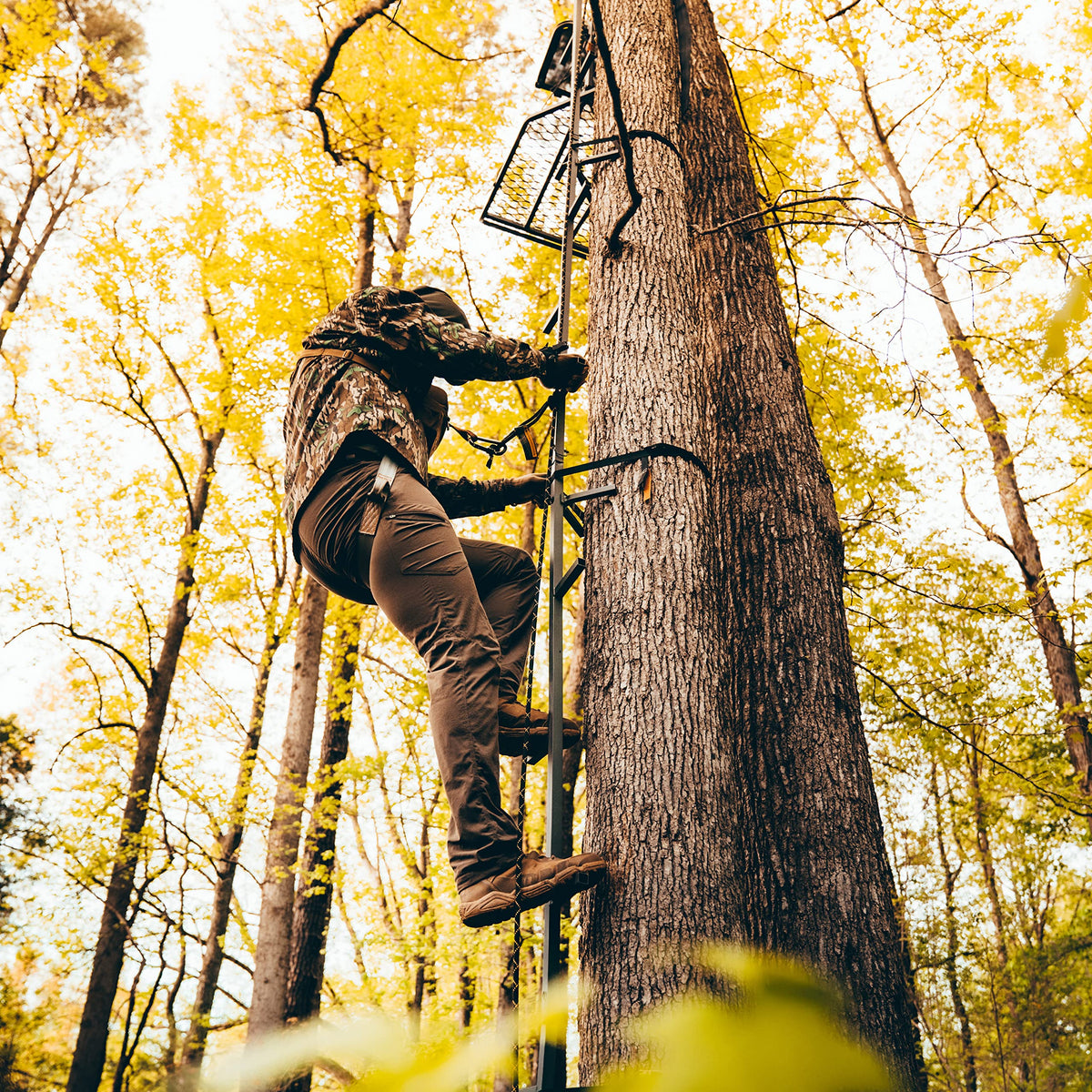 20’ Tree Climbing Stick Z164772